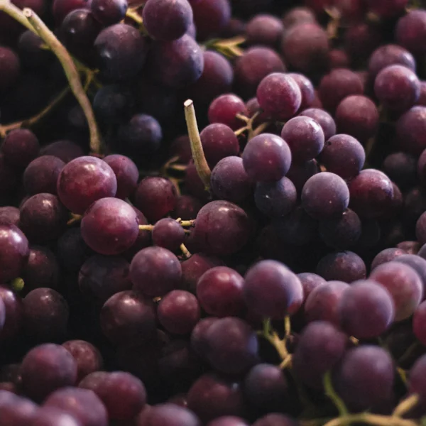 Cotton Candy Grapes 1.5 lb — Fresh Produce at Peasley Store